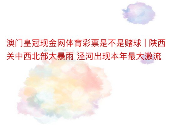 澳门皇冠现金网体育彩票是不是赌球 | 陕西关中西北部大暴雨 泾河出现本年最大激流