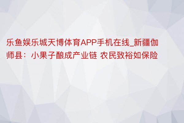 乐鱼娱乐城天博体育APP手机在线_新疆伽师县：小果子酿成产业