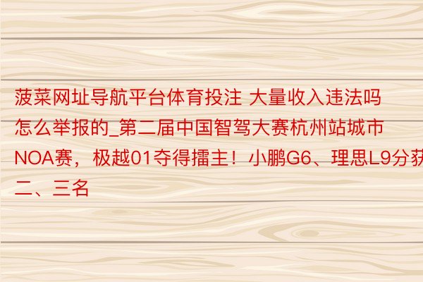 菠菜网址导航平台体育投注 大量收入违法吗怎么举报的_第二届中国智驾大赛杭州站城市NOA赛，极越01夺得擂主！小鹏G6、理思L9分获二、三名